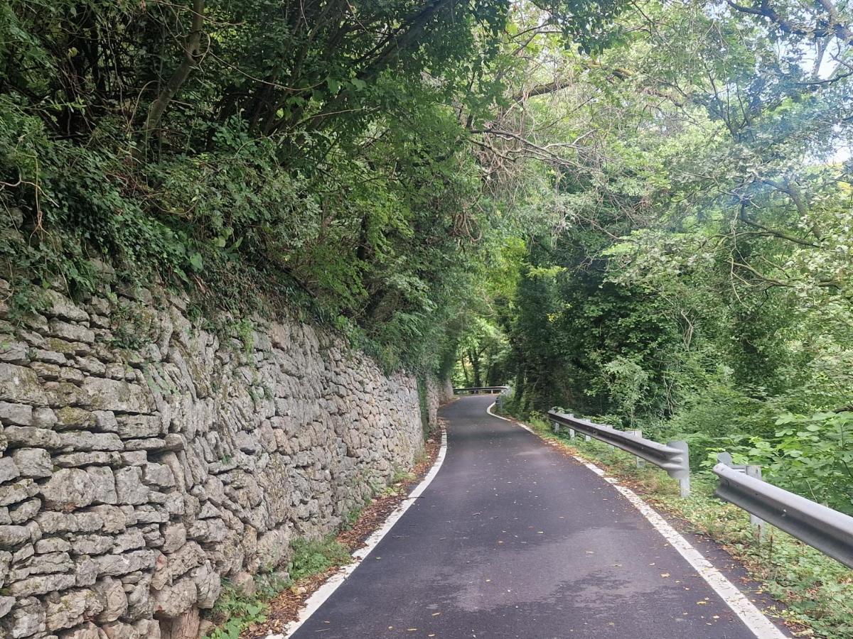 Nataly Apartman SantʼAmbrogio di Valpolicella Kültér fotó